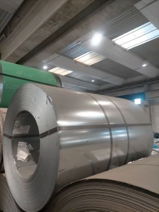 Immagine di 2312323131